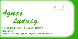 agnes ludvig business card